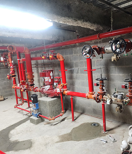 Fire Safety Plant

